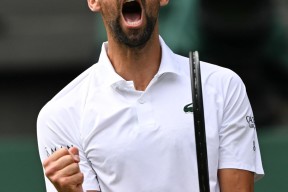 关于费德勒连续七场比赛得分超过出色防守，公牛挑战极限！的信息